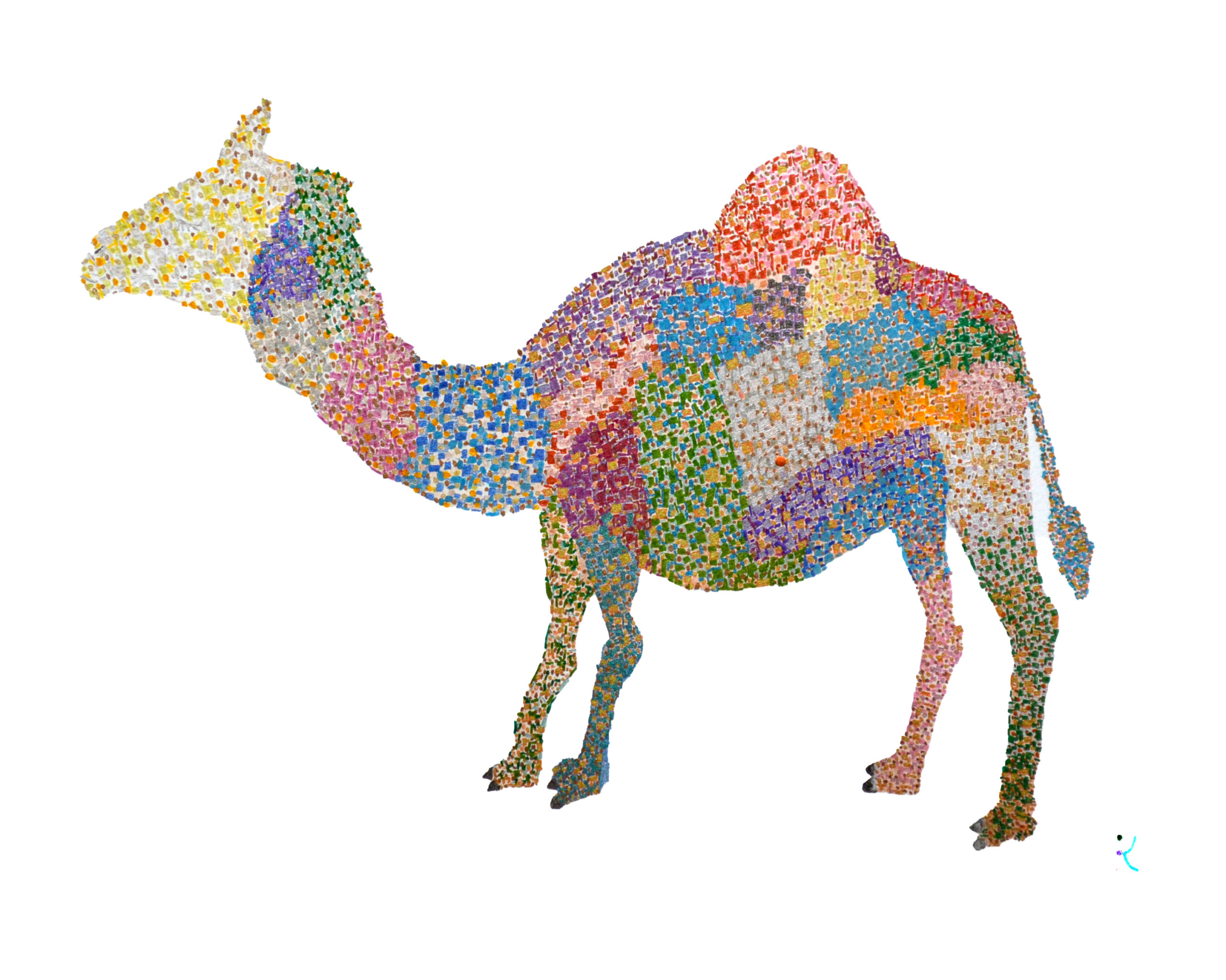 バカラカモシカです You can get my risograph works, one-off pieces, pin badges